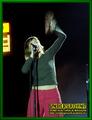 Gallery image 25
