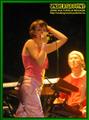Gallery image 30