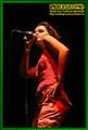 Gallery image 39