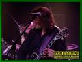 Gallery image 71