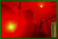 Gallery image 39