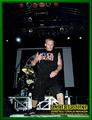 Gallery image 31