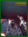 Gallery image 31