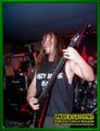 Gallery image 39