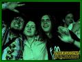 Gallery image 54