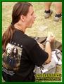 Gallery image 31