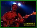 Gallery image 61