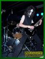 Gallery image 21