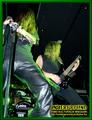 Gallery image 28