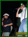 Gallery image 39