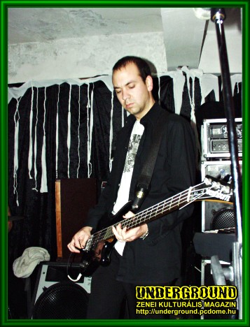 The Phantom Limbs (USA)