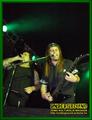 Gallery image 49