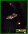 Gallery image 22