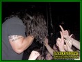 Gallery image 31