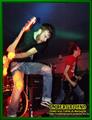 Gallery image 21