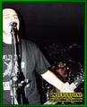Gallery image 21