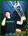 Gallery image 21