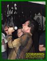 Gallery image 52
