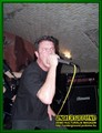 Gallery image 34
