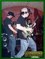 Gallery image 29