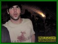 Gallery image 38