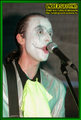 Gallery image 22