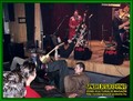 Gallery image 41