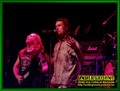 Gallery image 23