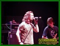 Gallery image 36