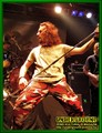 Gallery image 38