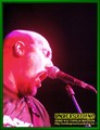 Gallery image 22