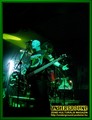 Gallery image 31