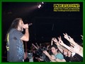 Gallery image 10