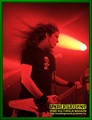Gallery image 39
