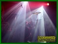 Gallery image 21