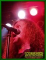 Gallery image 35