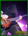 Gallery image 30