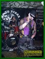 Gallery image 67