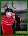 Gallery image 31