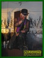 Gallery image 59