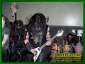 Gallery image 38