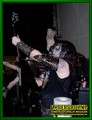 Gallery image 41