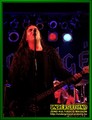 Gallery image 30