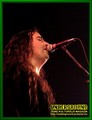 Gallery image 32