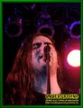 Gallery image 39