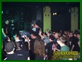 Gallery image 33