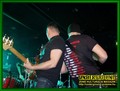 Gallery image 39