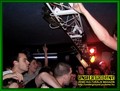 Gallery image 49