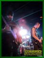Gallery image 28