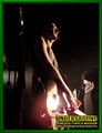 Gallery image 37